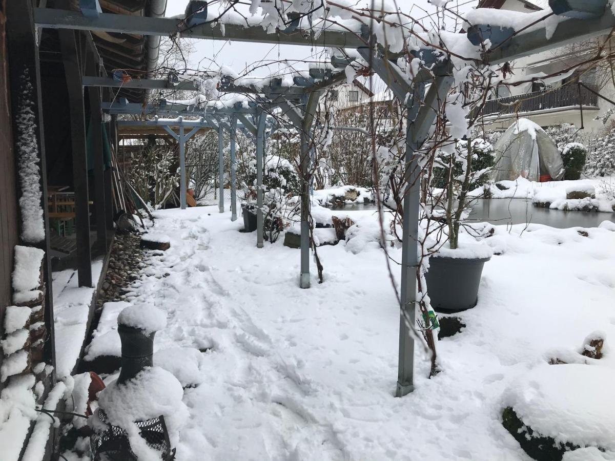 Kunsthaus Mit Gartensauna Dierdorf 外观 照片