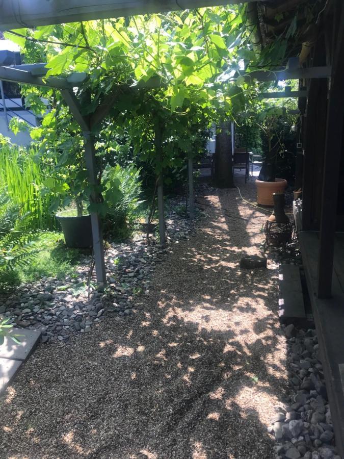 Kunsthaus Mit Gartensauna Dierdorf 外观 照片